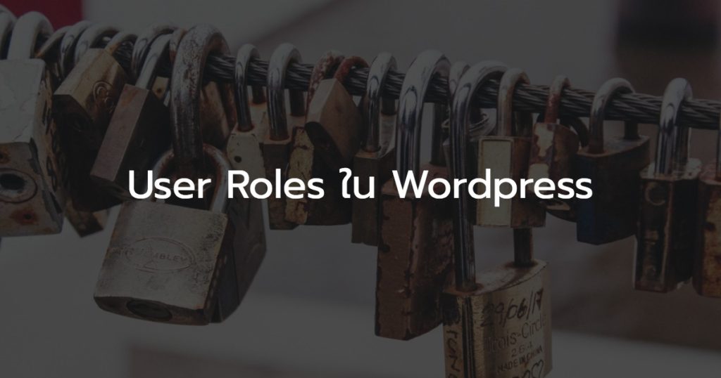 user roles ใน wordpress